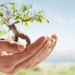 080325104519-large-150x150