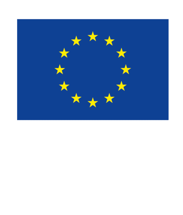 Europe Direct Timișoara – Regiunea Vest